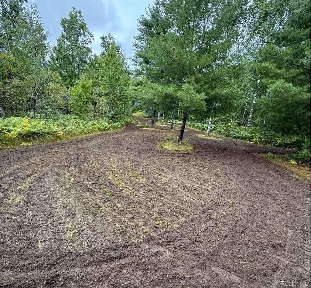 5469 Orchard Trail Road Frederic Township MI 49733