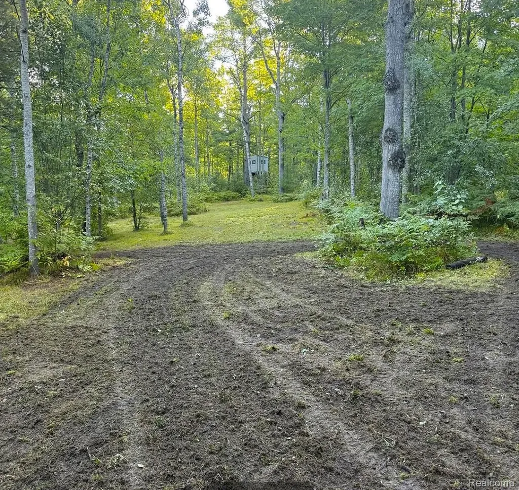 5469 Orchard Trail Road Frederic Township MI 49733