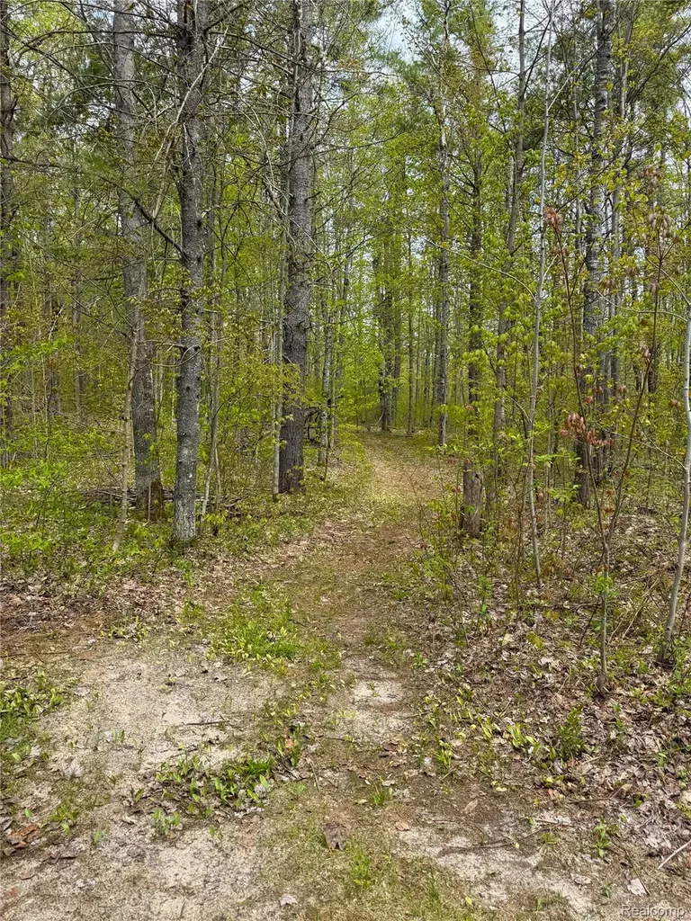 5469 Orchard Trail Road Frederic Township MI 49733