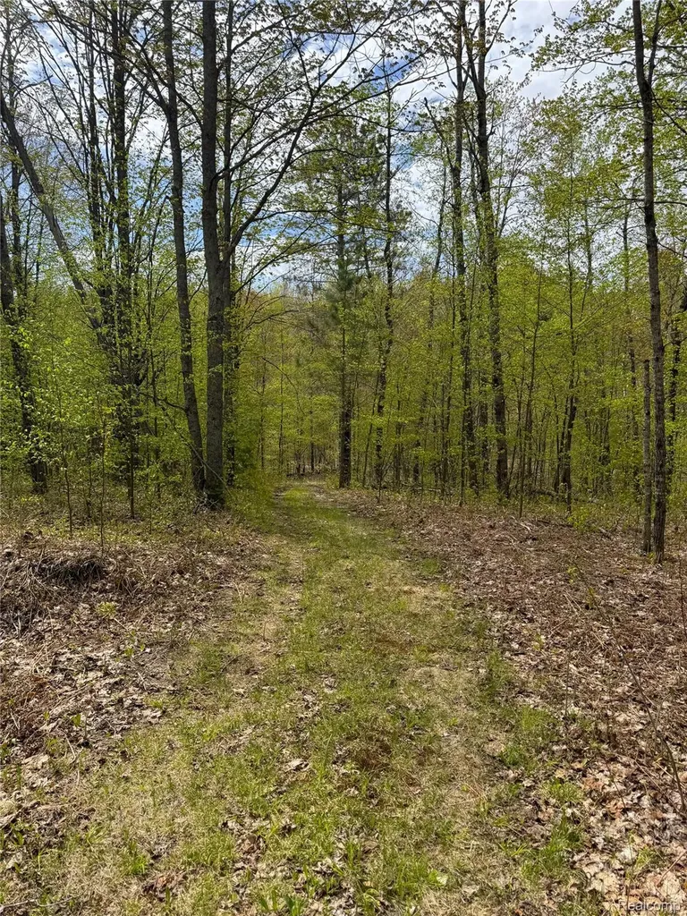 5469 Orchard Trail Road Frederic Township MI 49733