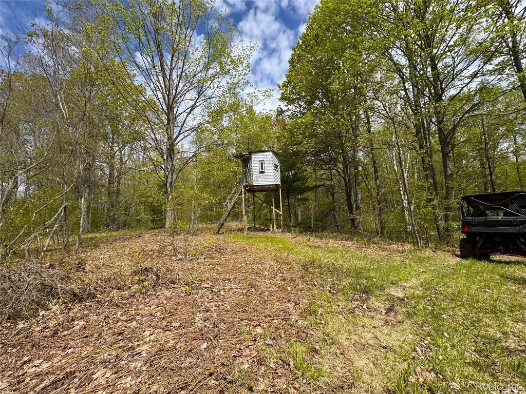 5469 Orchard Trail Road Frederic Township MI 49733