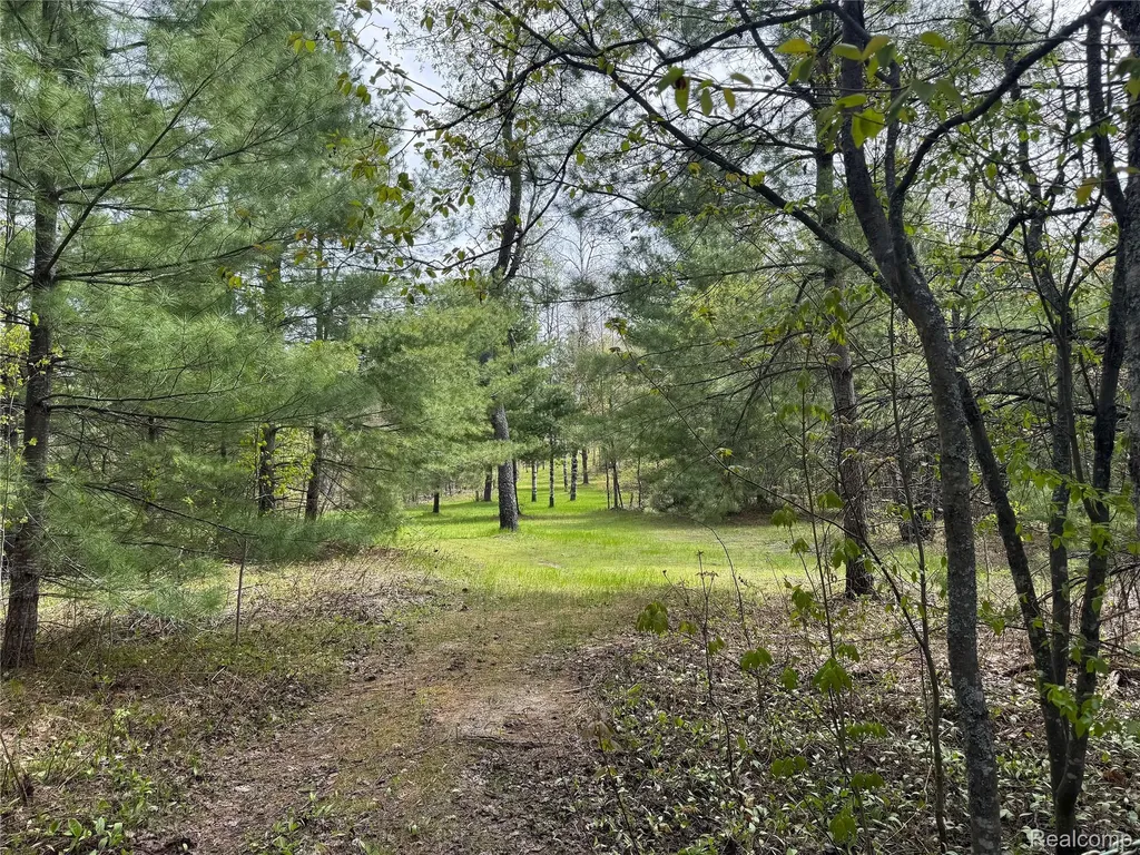 5469 Orchard Trail Road Frederic Township MI 49733