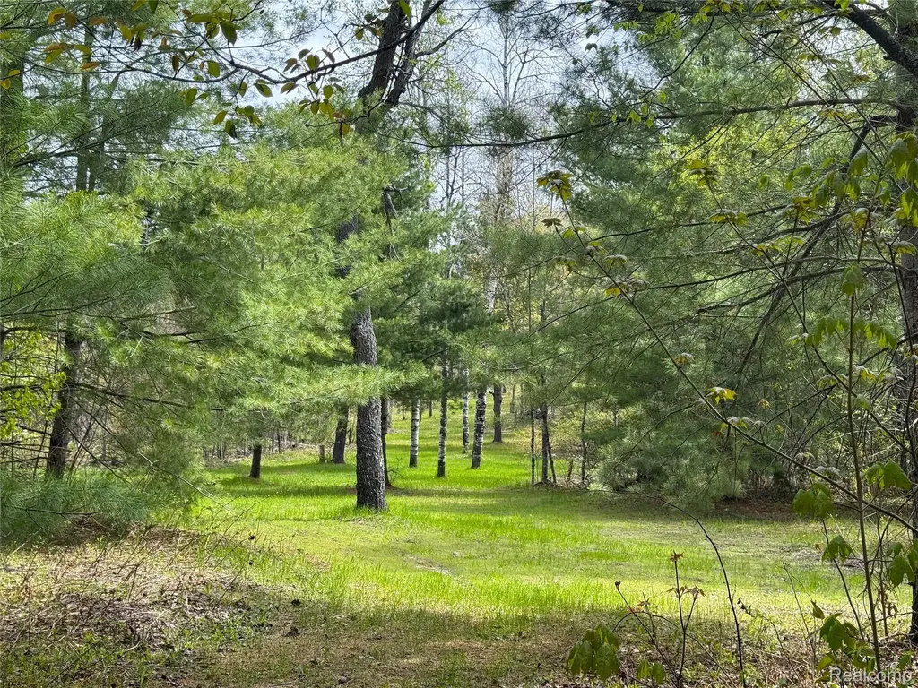 5469 Orchard Trail Road Frederic Township MI 49733