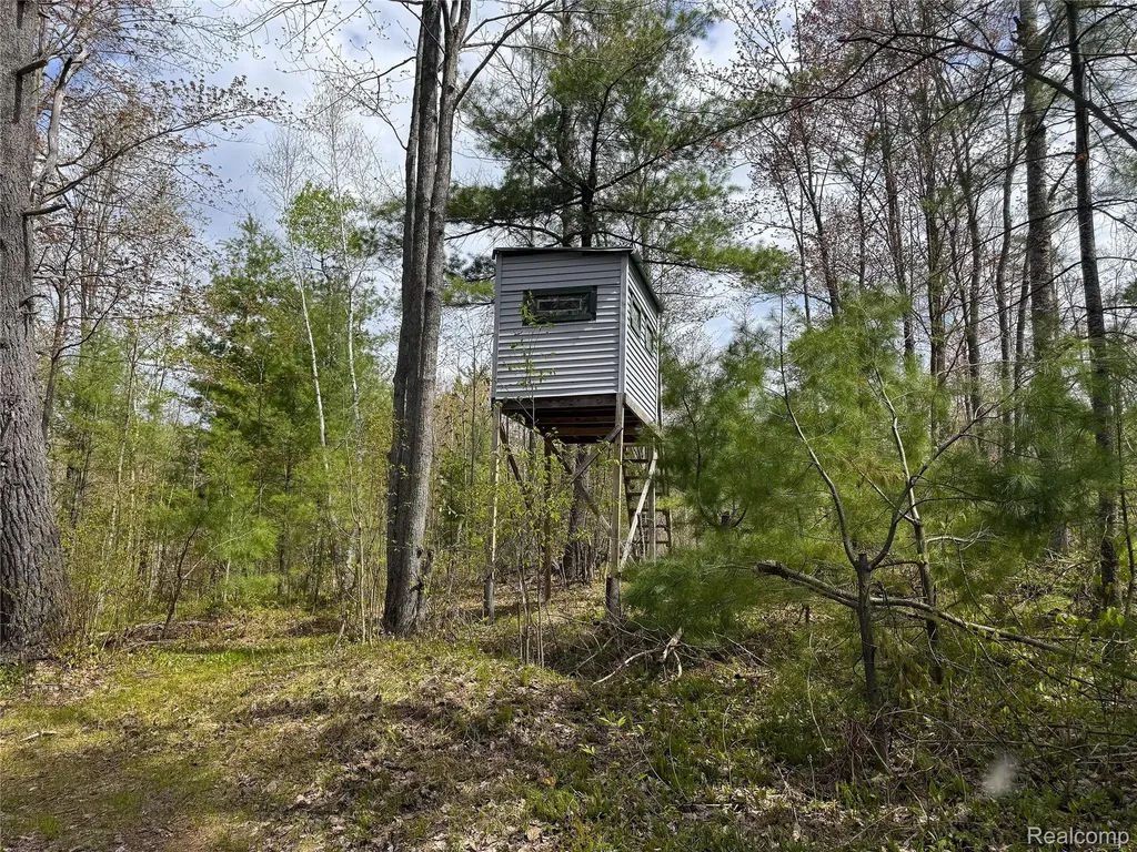 5469 Orchard Trail Road Frederic Township MI 49733