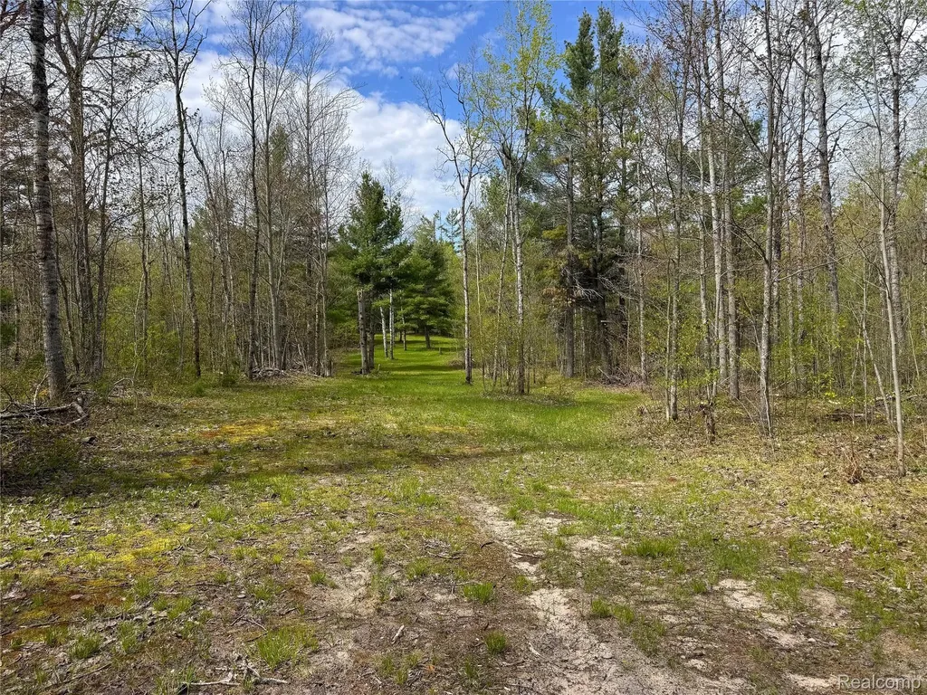 5469 Orchard Trail Road Frederic Township MI 49733