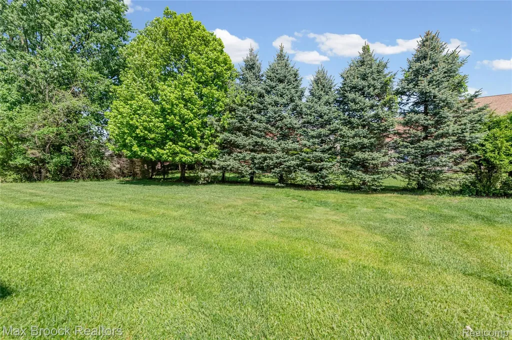 1171 Cambria Drive Troy City MI 48085