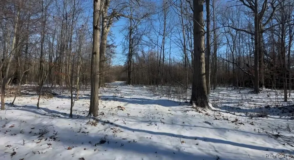 7021 Palms Road Ira Township MI 48023
