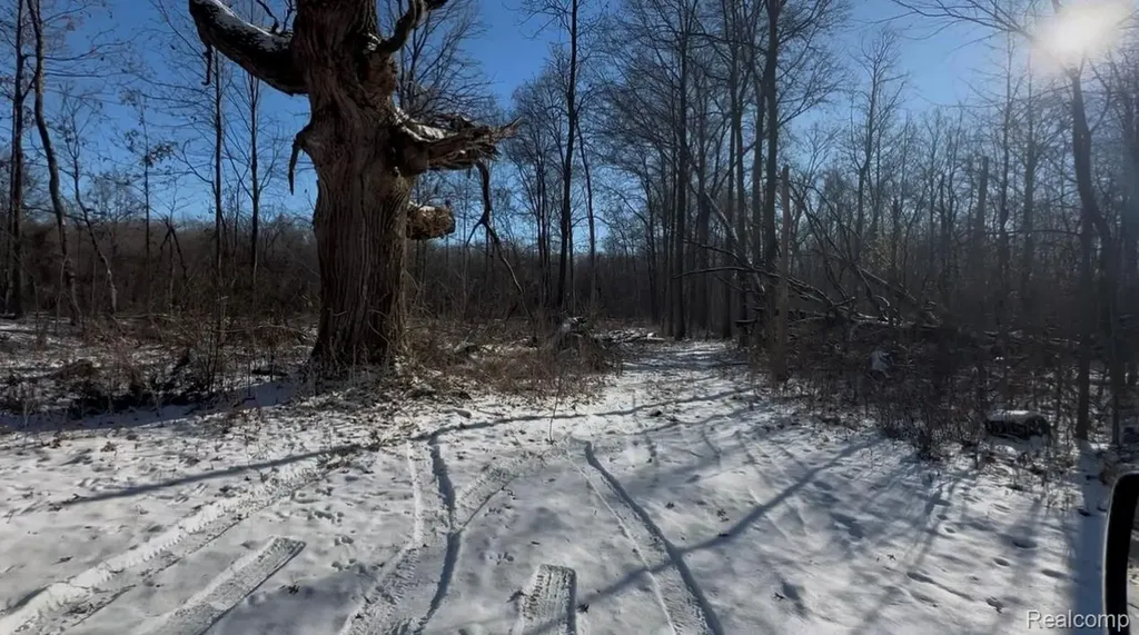 7021 Palms Road Ira Township MI 48023