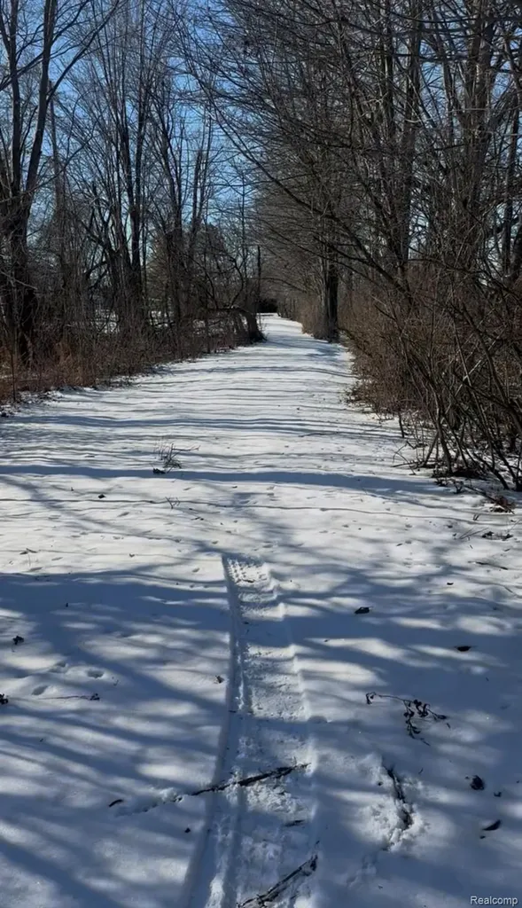 7021 Palms Road Ira Township MI 48023