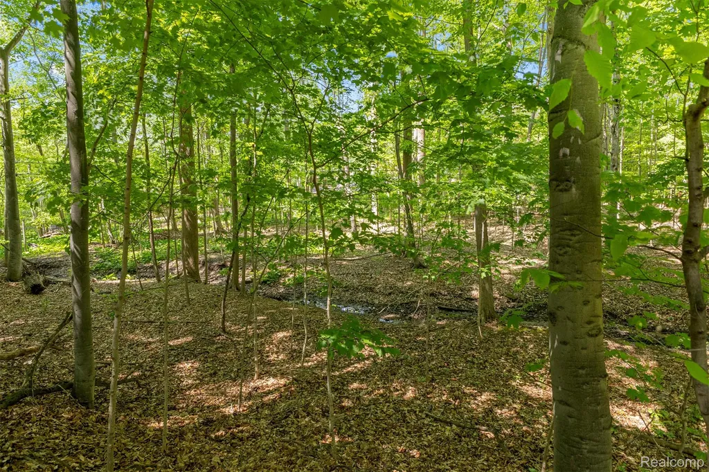 21257 Woodfarm Drive Farmington Hills City MI 48167