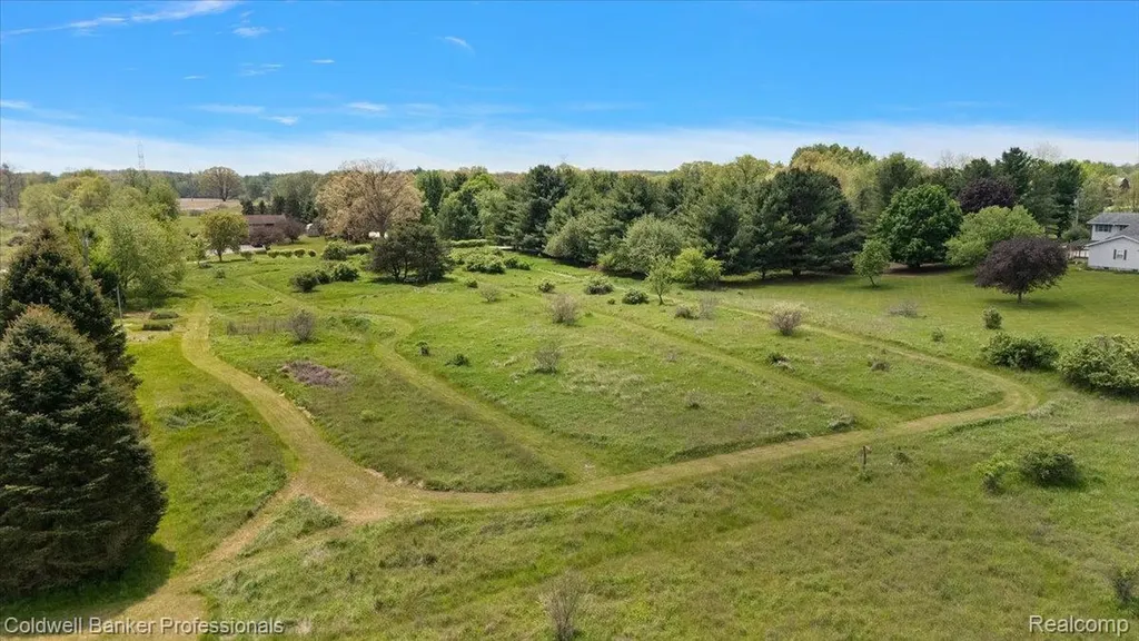 Vl Merwin Road Elba Township MI 48446
