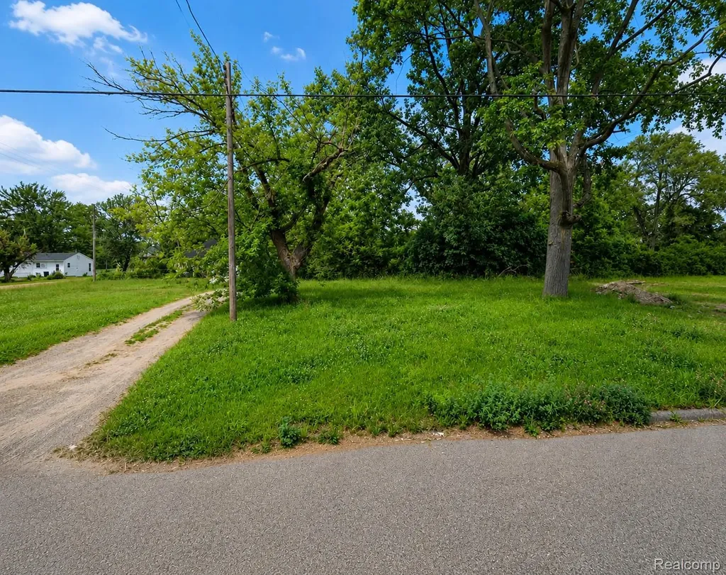 1182 W Juliah Avenue Mt. Morris Township MI 48505