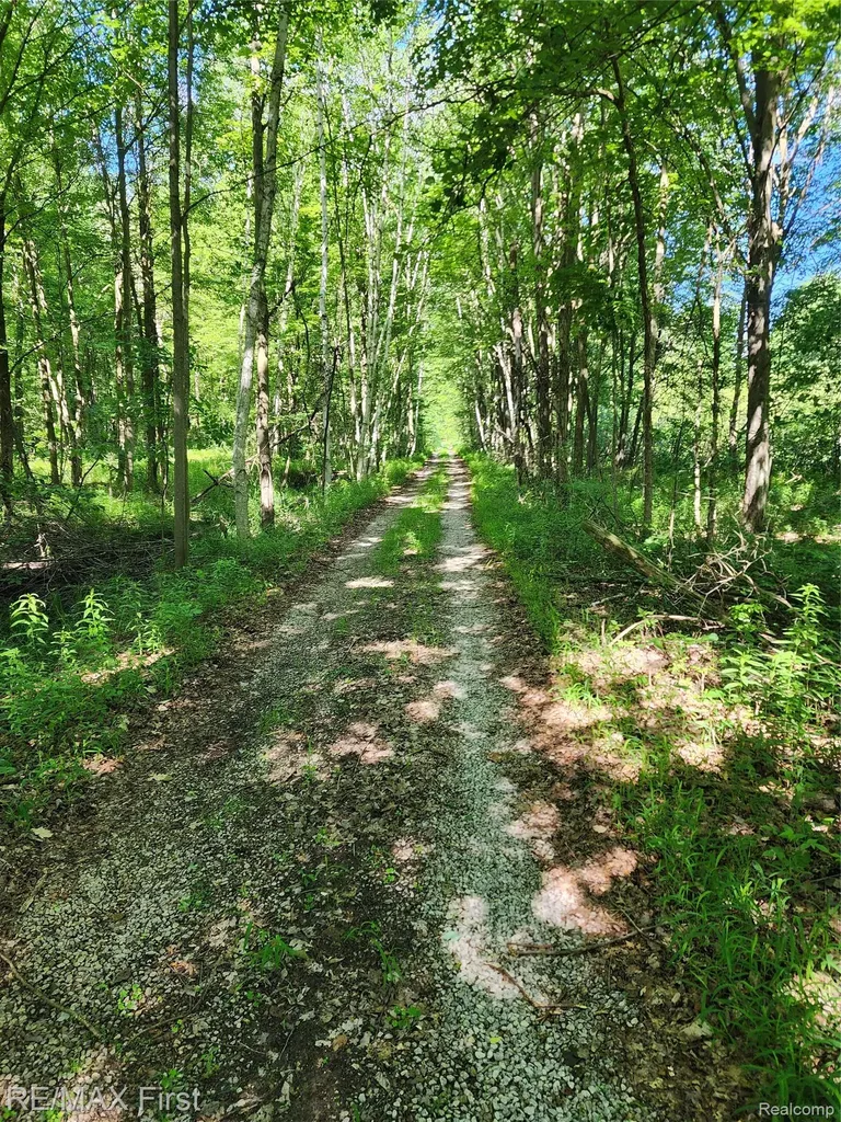 0 Vacant Land W Olsen Road Lee Township MI 48657
