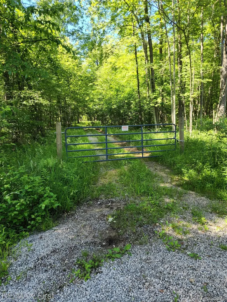 0 Vacant Land W Olsen Road Lee Township MI 48657