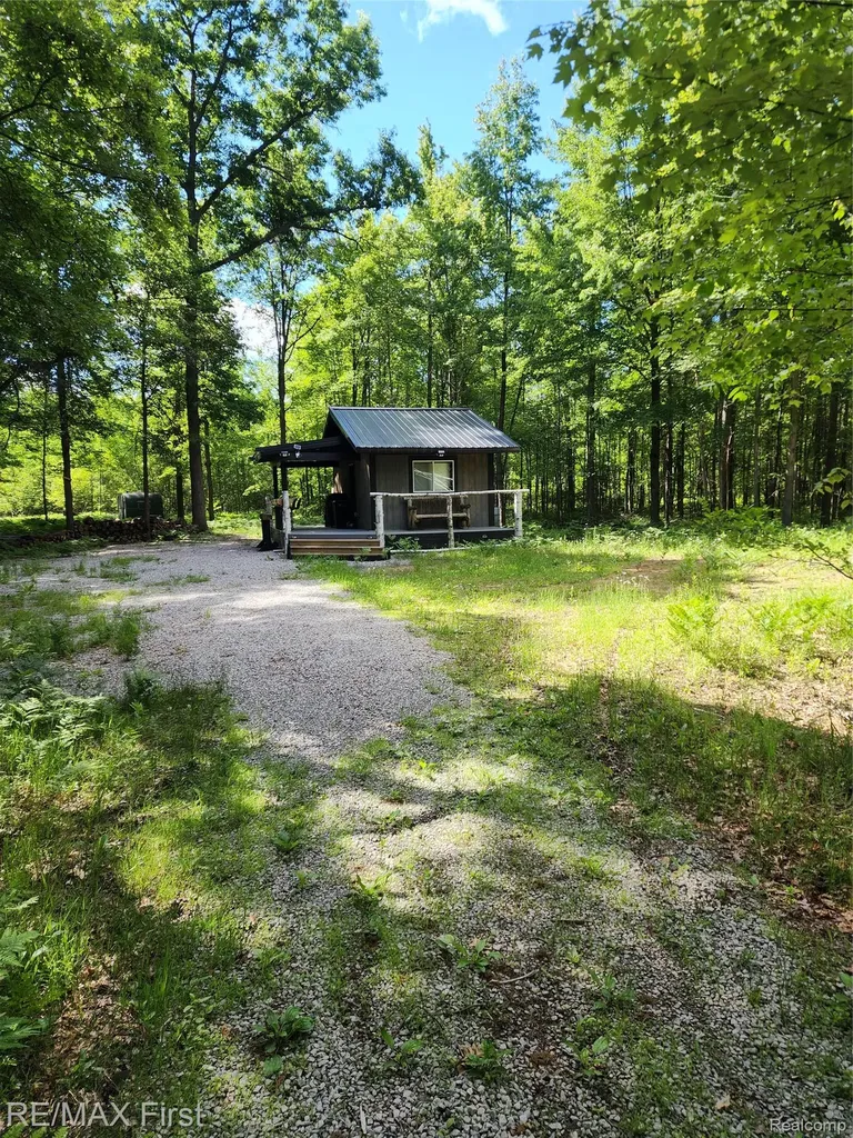 0 Vacant Land W Olsen Road Lee Township MI 48657