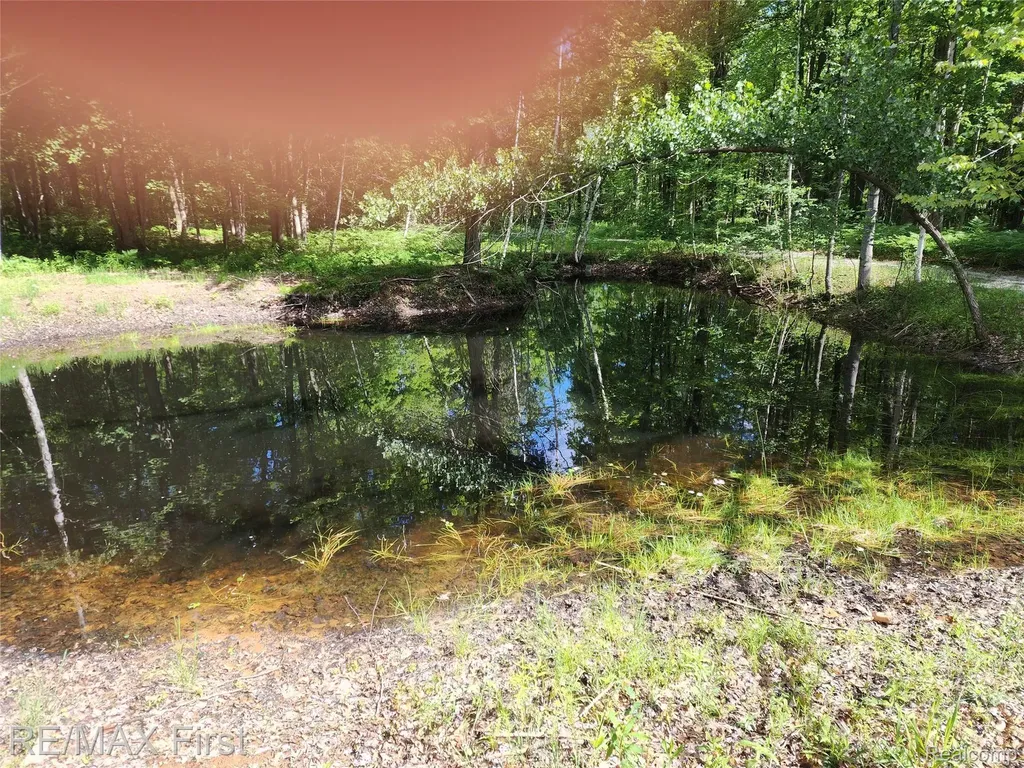 0 Vacant Land W Olsen Road Lee Township MI 48657