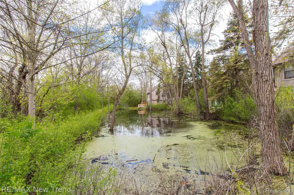 2521 Country Village Court Ann Arbor City MI 48103
