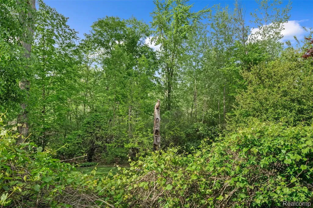 10099 Fernbrooke Drive Green Oak Township MI 48116