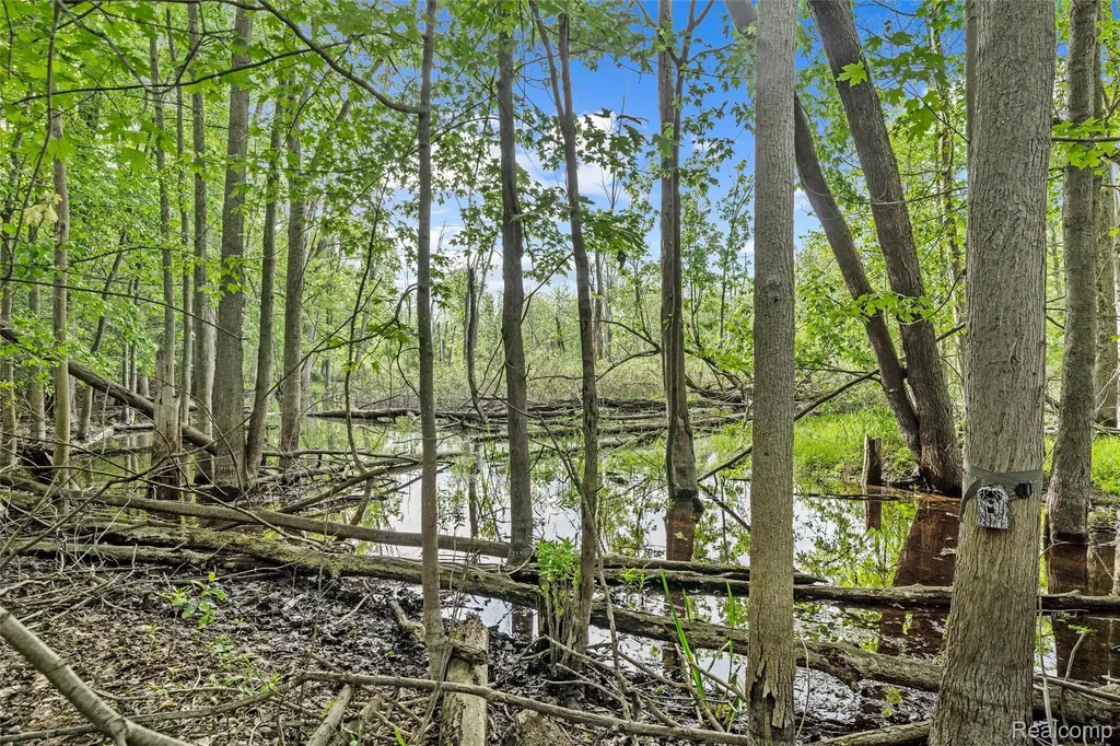 10099 Fernbrooke Drive Green Oak Township MI 48116