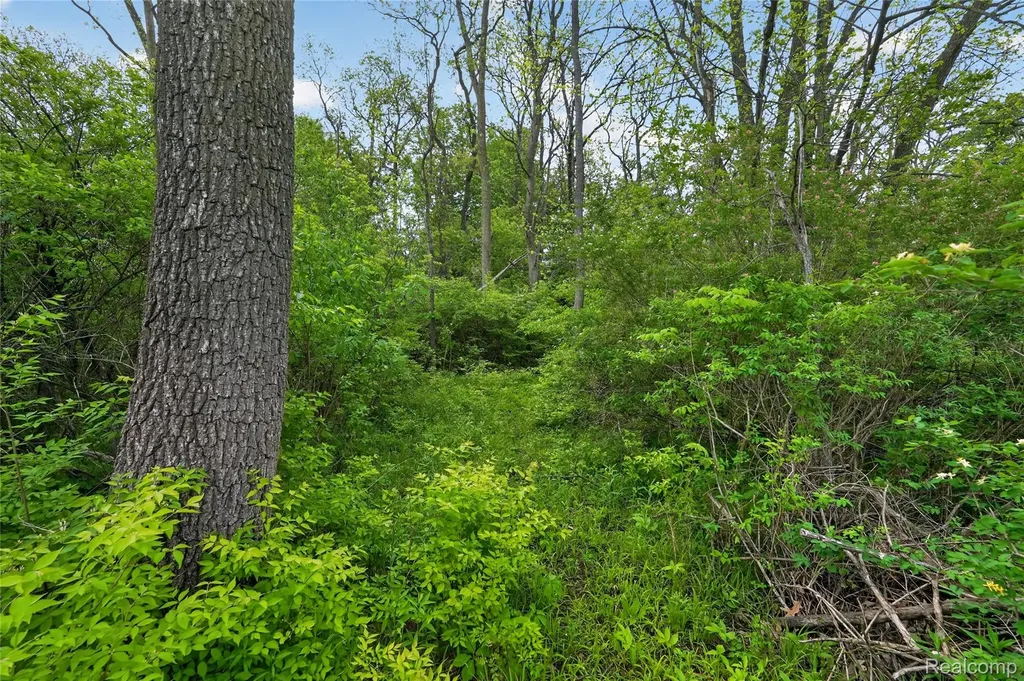 6235 Flushing Road Mt. Morris Township MI 48433