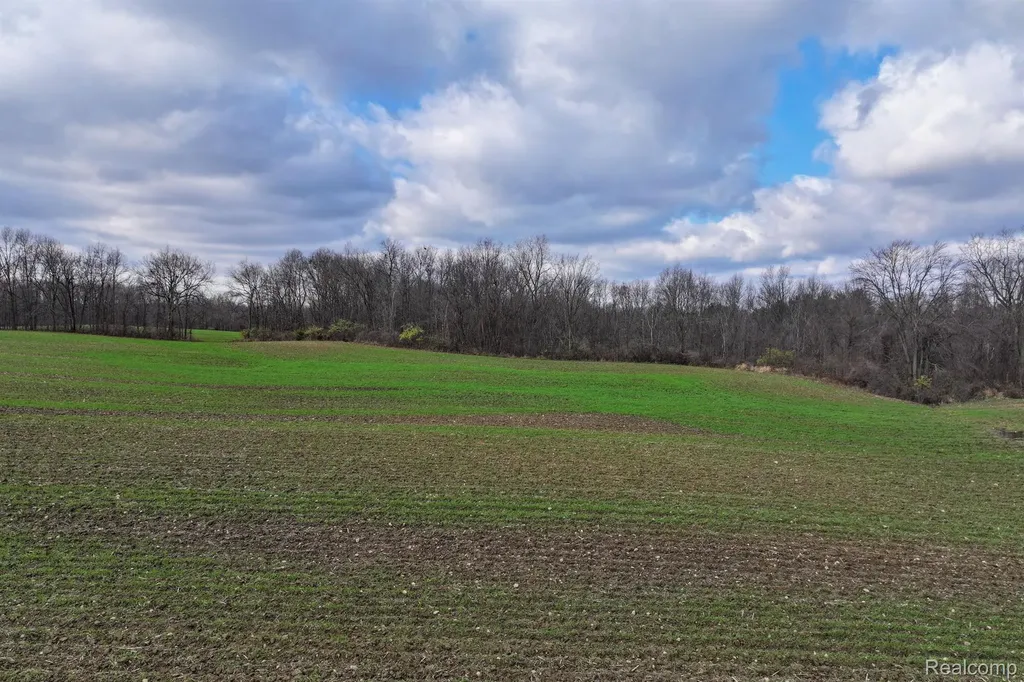 0 Golf Road (parcel F) Lapeer City MI 48446