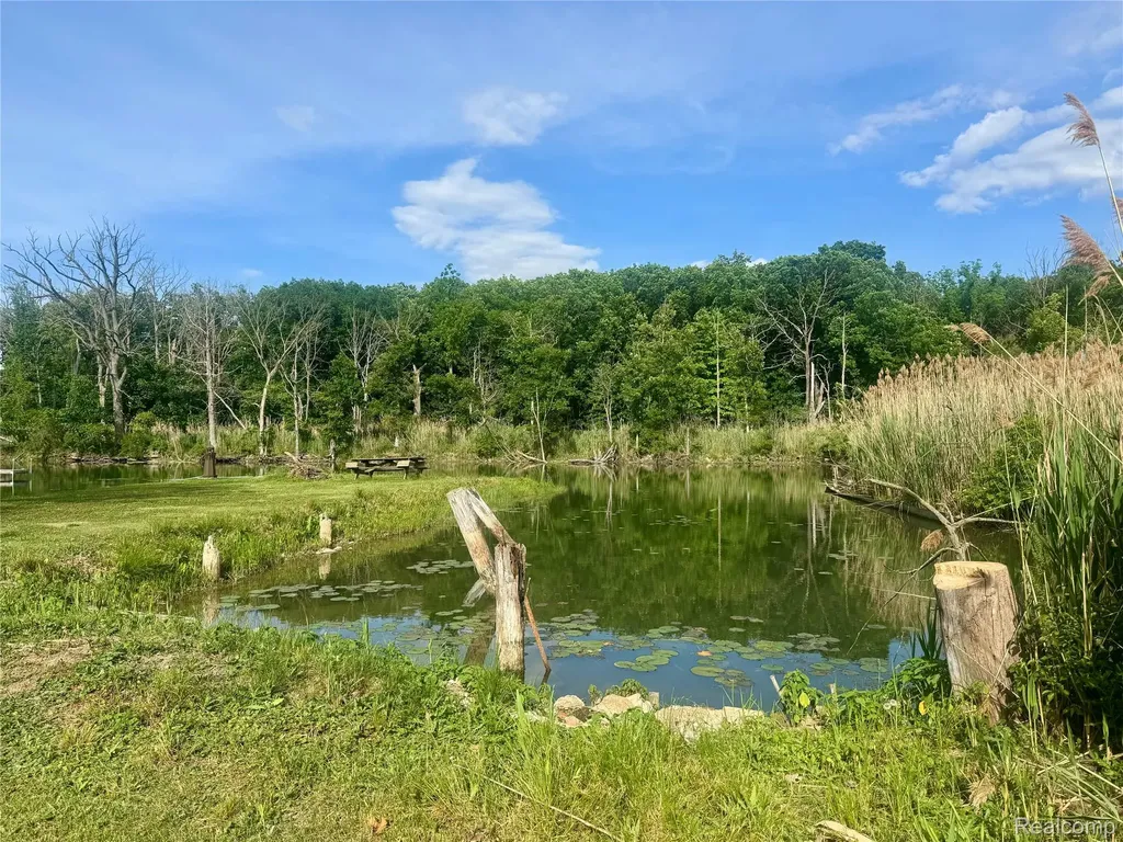 22827 Meridian Road Grosse Ile Township MI 48138