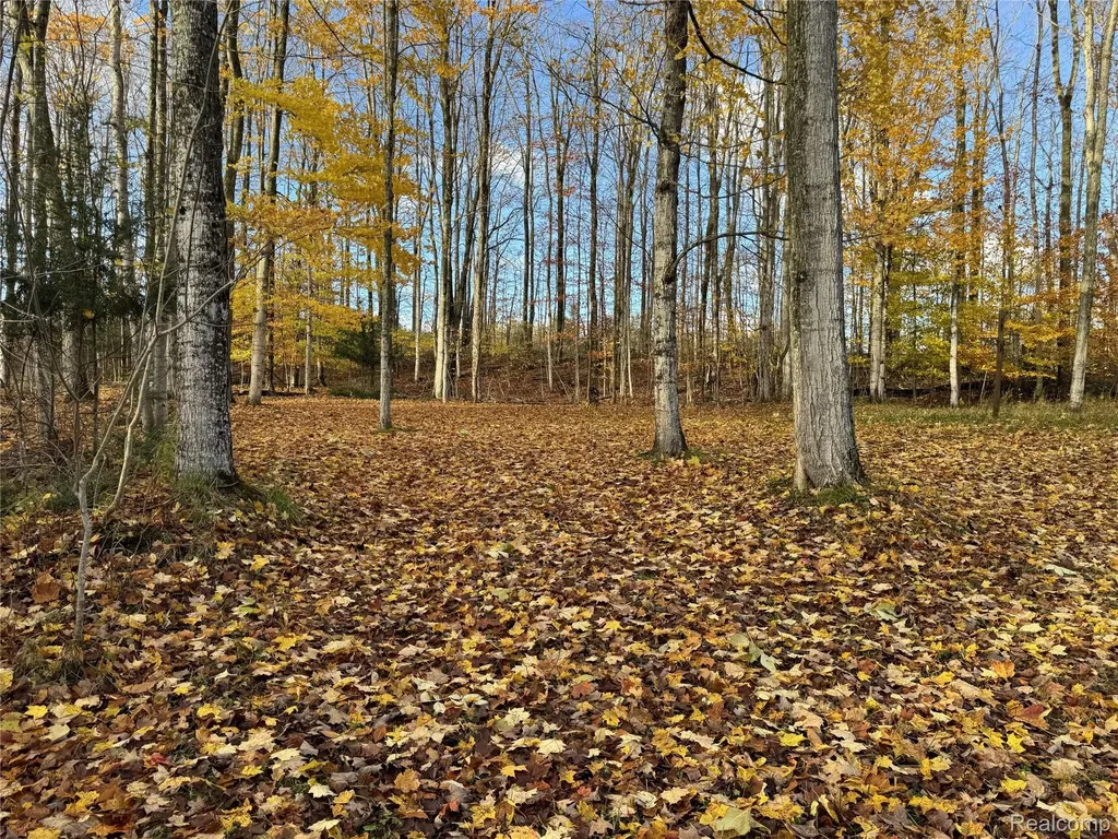 2446 Spayde Road Charlevoix City MI 49720