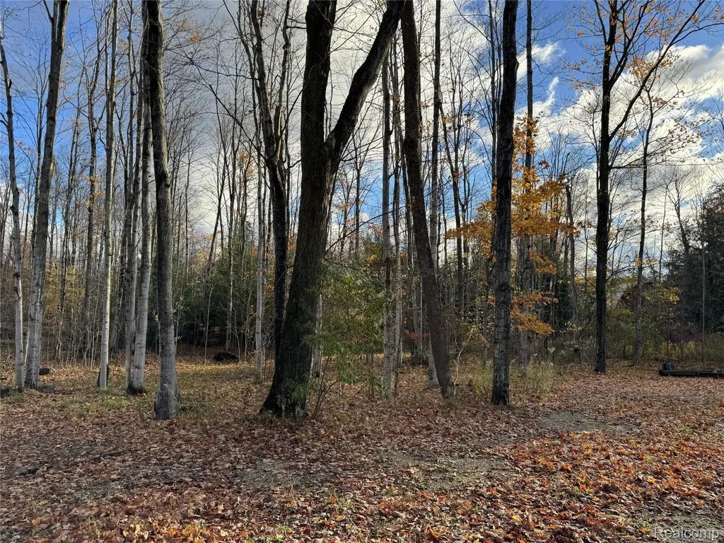 2446 Spayde Road Charlevoix City MI 49720
