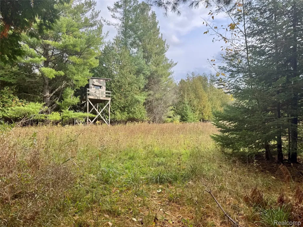 2446 Spayde Road Charlevoix City MI 49720