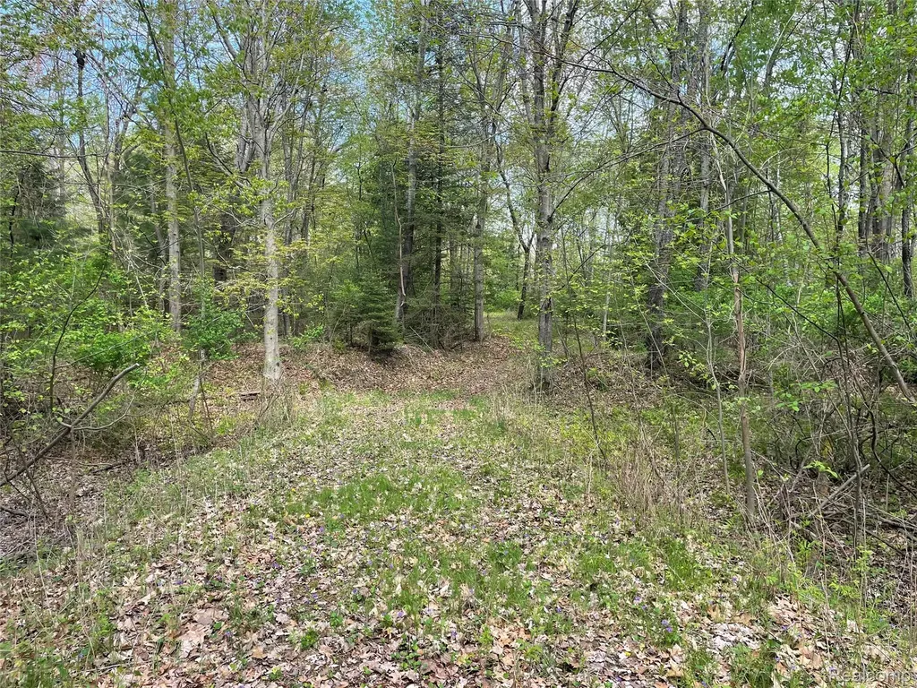 Na Oakridge Drive Sims Township MI 48703