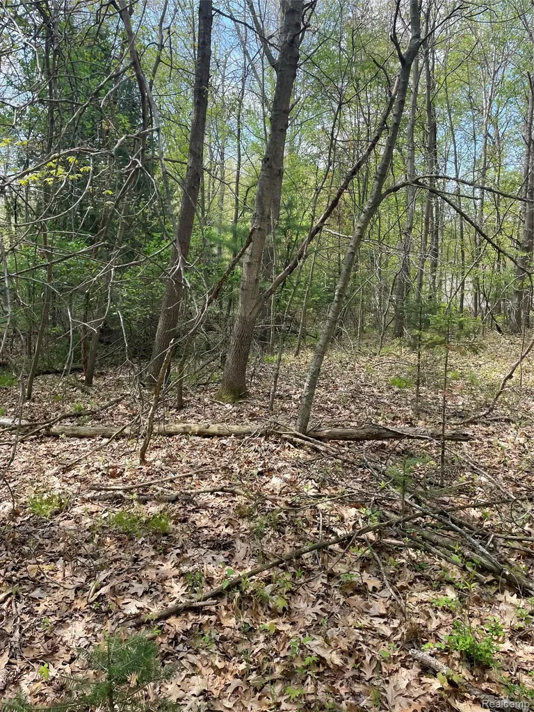 Na Oakridge Drive Sims Township MI 48703