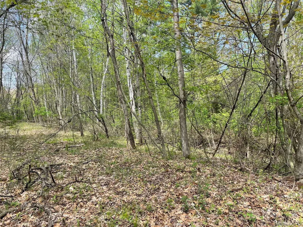 Na Oakridge Drive Sims Township MI 48703