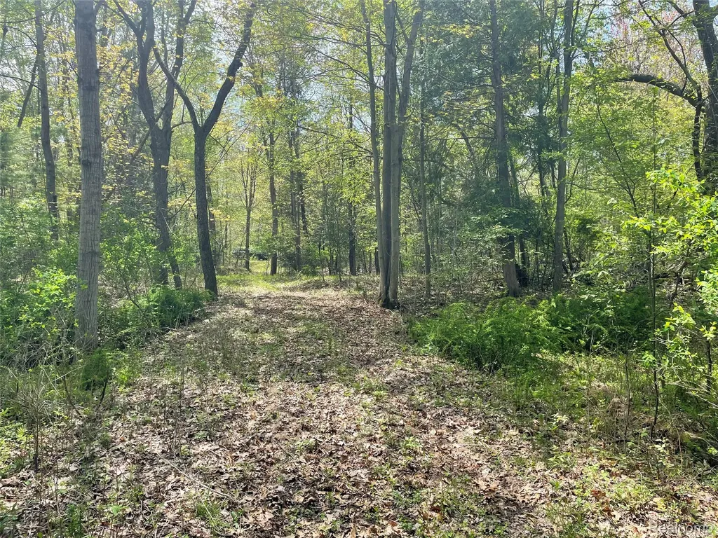 Na Oakridge Drive Sims Township MI 48703