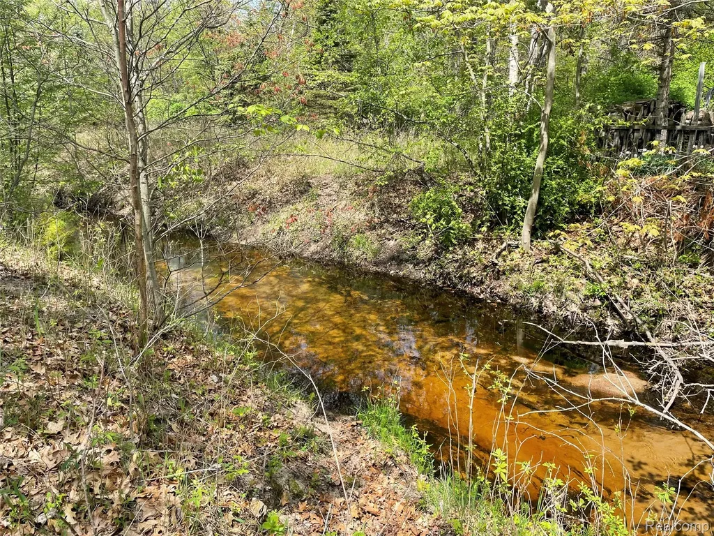 Na Oakridge Drive Sims Township MI 48703