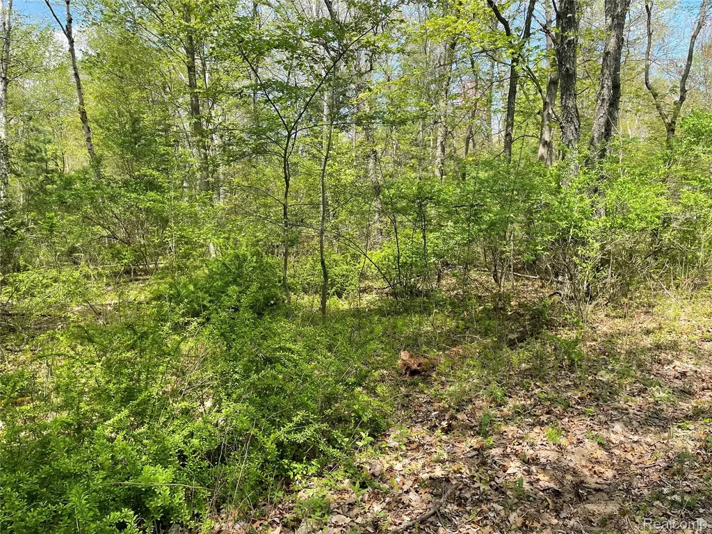 Na Oakridge Drive Sims Township MI 48703