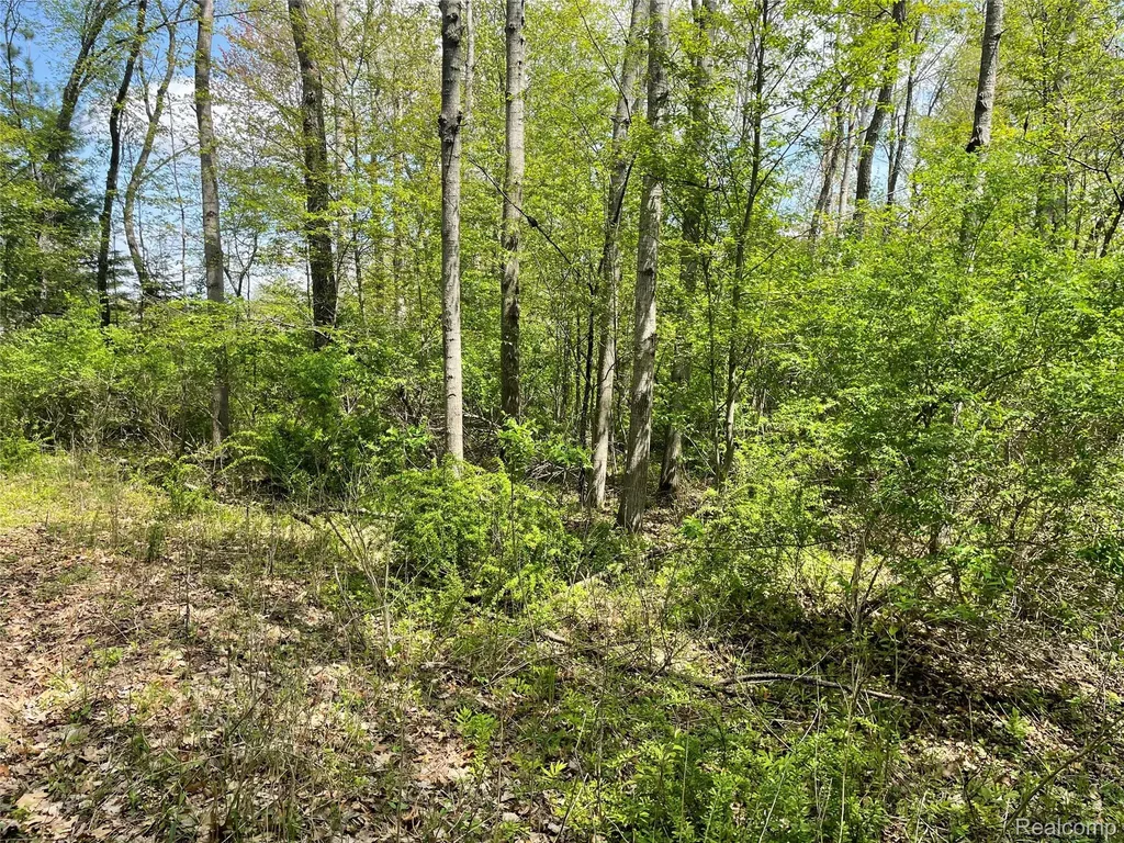 Na Oakridge Drive Sims Township MI 48703