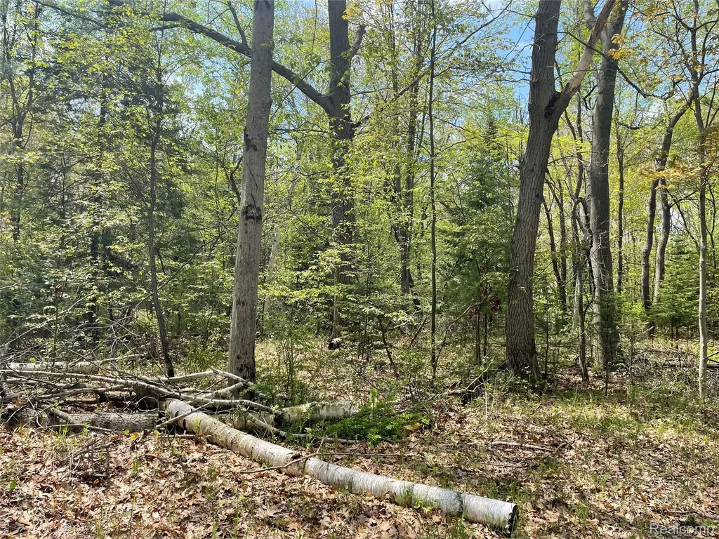 Na Oakridge Drive Sims Township MI 48703