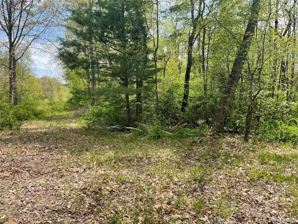 Na Oakridge Drive Sims Township MI 48703