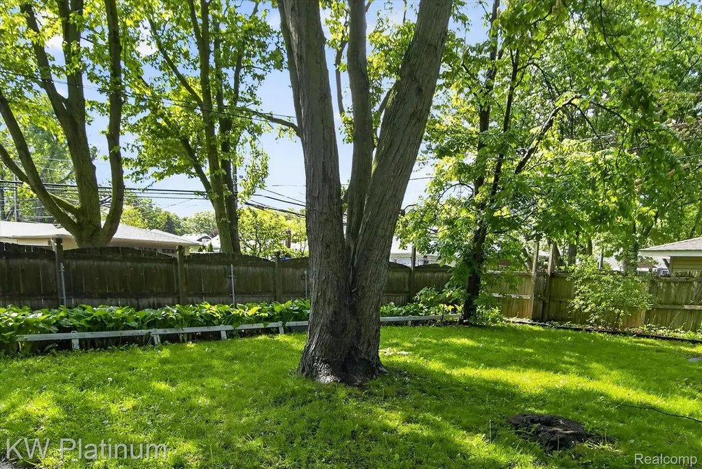 22436 Doremus Street St. Clair Shores City MI 48080