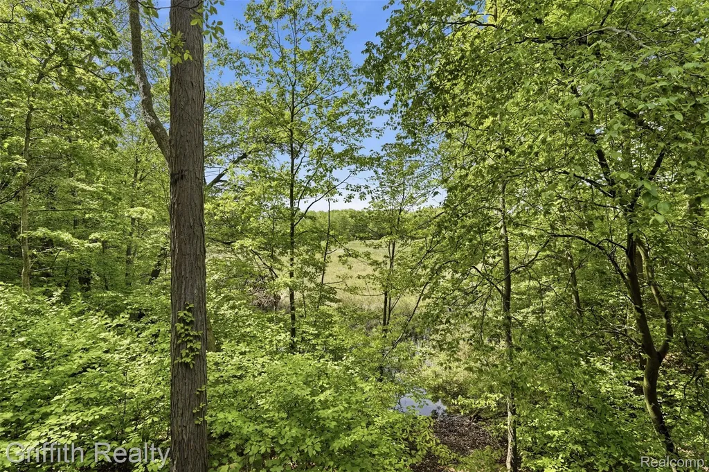 2018 Pine Hollow Trail Brighton Township MI 48114
