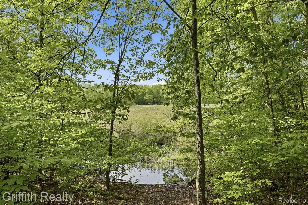 2018 Pine Hollow Trail Brighton Township MI 48114