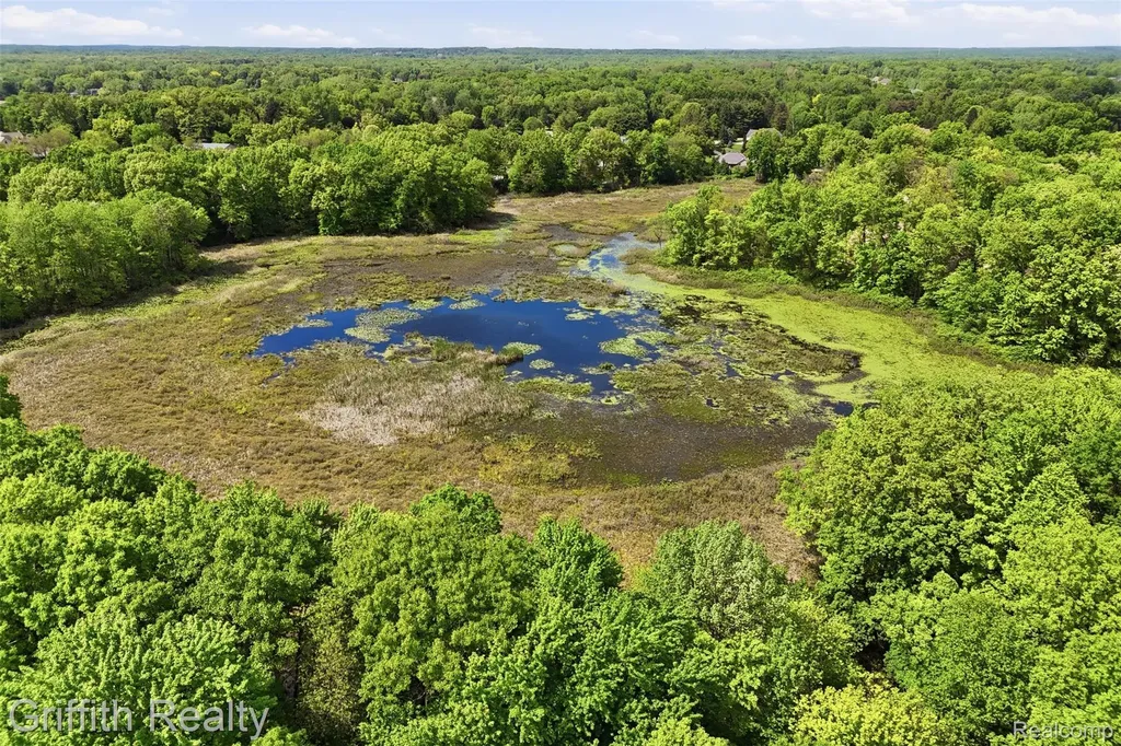 2018 Pine Hollow Trail Brighton Township MI 48114