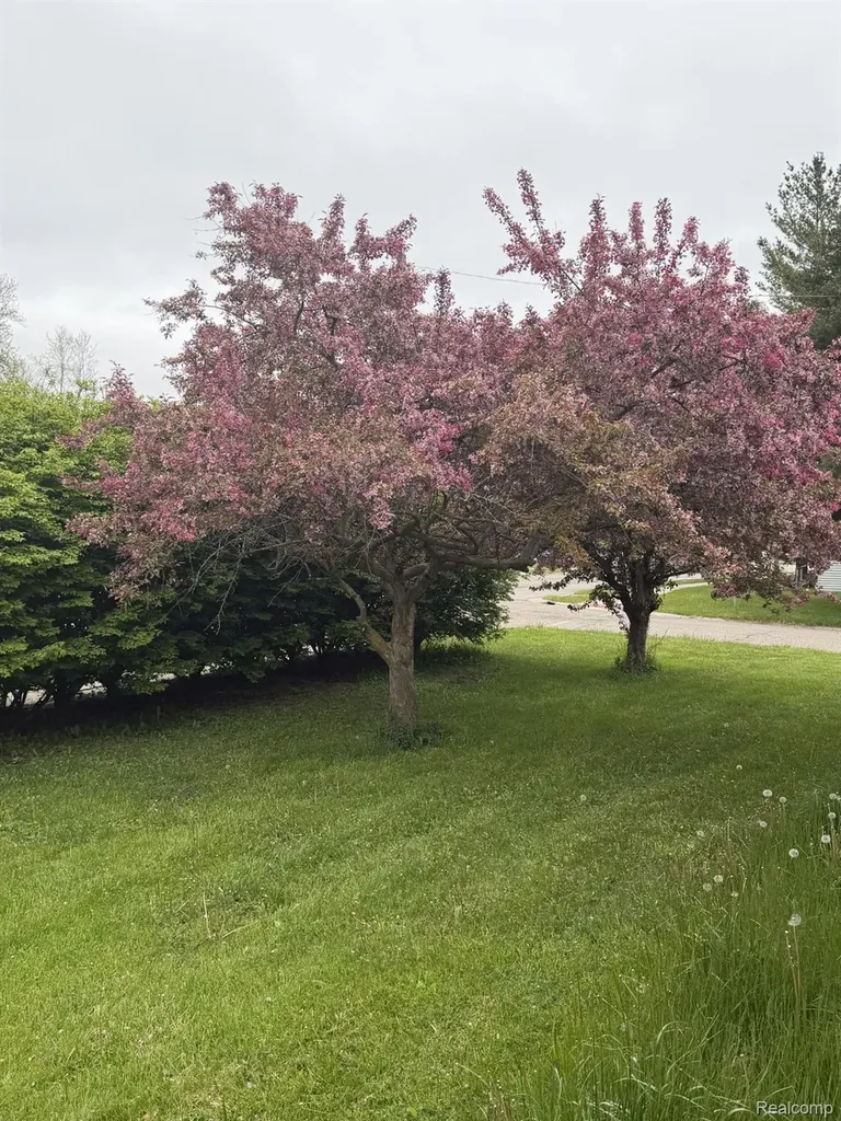 6344 Kilgour Street Marlette City MI 48453