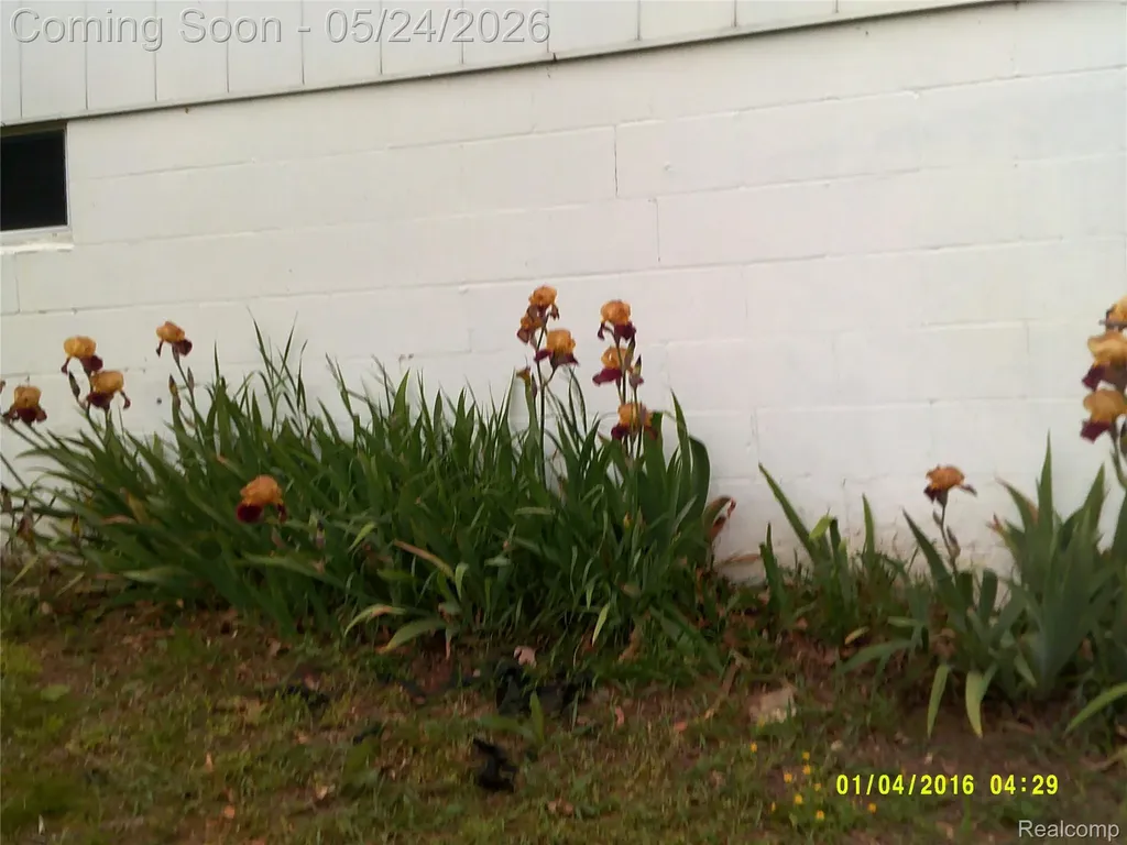 119 Diversy Drive Columbia Township MI 49230