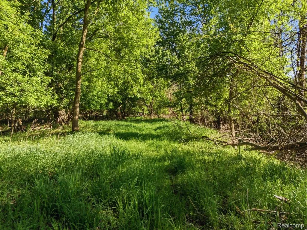 00 Layton Road Handy Township MI 48836