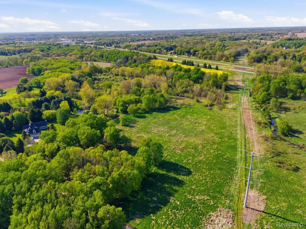 00 Layton Road Handy Township MI 48836