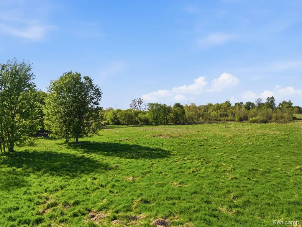00 Layton Road Handy Township MI 48836