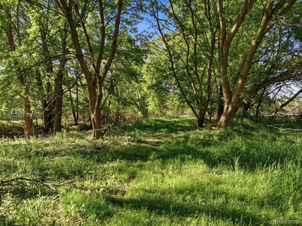 00 Layton Road Handy Township MI 48836