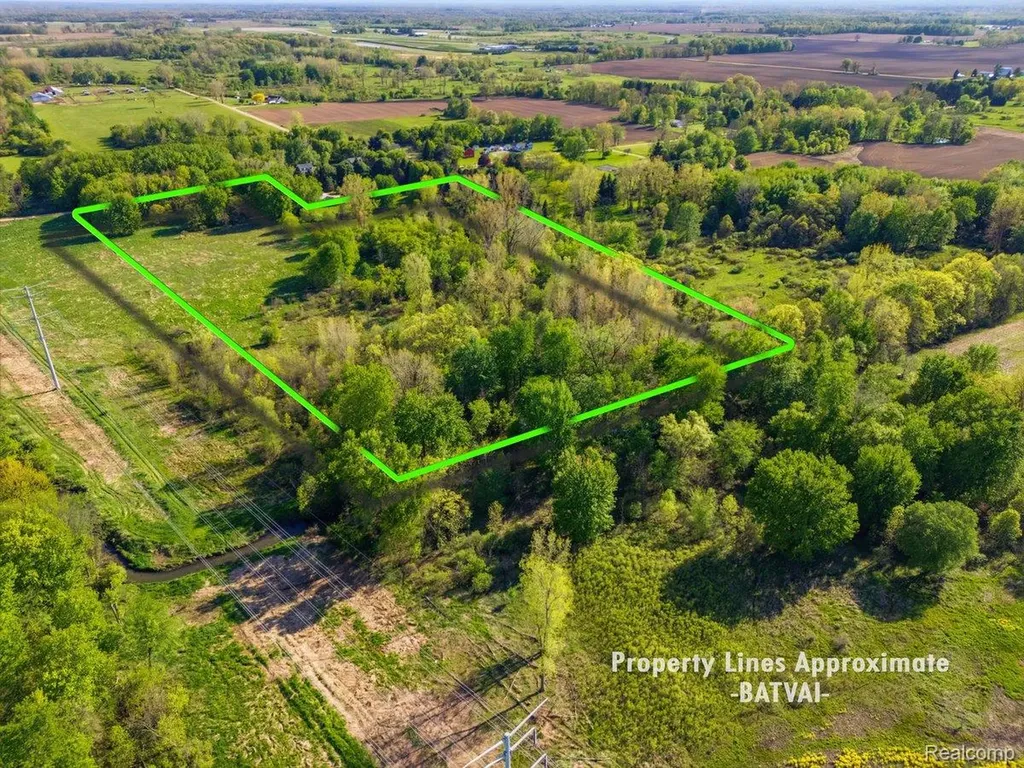 00 Layton Road Handy Township MI 48836