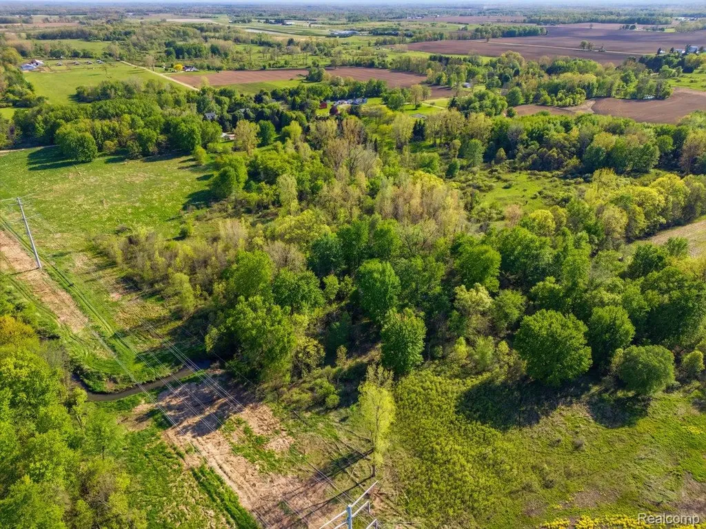 00 Layton Road Handy Township MI 48836